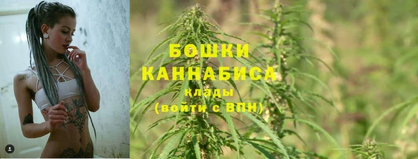 PSILOCYBIN Абаза