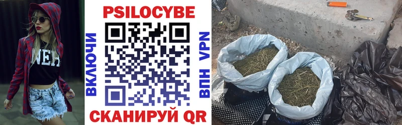 Псилоцибиновые грибы Cubensis  купить наркоту  Лебедянь 